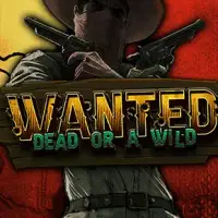 Wanted Dead or a Wild bei National Casino